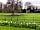 Gateway To The Moors Caravan Park: Field in front of pitches