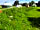 Pilsdon View Camping: Yurts on site