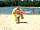 Vakantiepark 't Witven: Beach (photo added by manager on 27/07/2019)
