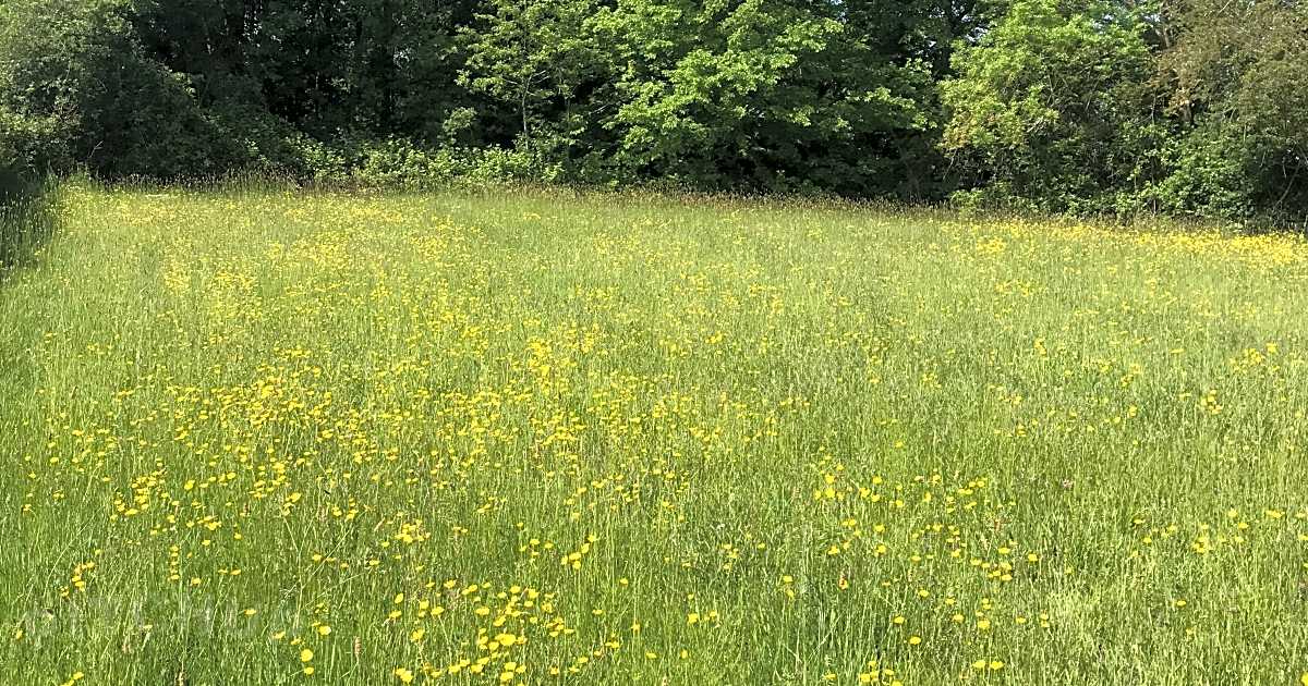 Barton Hill Farm, Barton Hartshorn