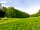 Castle Gate Campsite: Visitor image of the Lovely and peaceful area (photo added by manager on 07/09/2022)