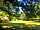 Oak Lodge Glamping: Bell tent (photo added by manager on 31/08/2022)