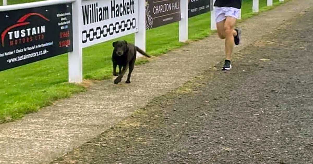 Greensfield Alnwick Rugby Club Campsite, Alnwick
