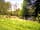 Greenacres Glamping