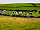 Incledon Farm Campsite: Surrounded by fields