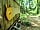 Madryn Castle Holiday Park: Insect hotel on the woodland trail (photo added by manager on 25/03/2023)