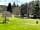 Blackbrook Lodge Camping and Caravanning: Lovely views