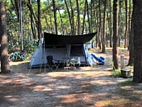 Piazzola Pineta 4 Piazzola Pineta 4