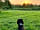 Shepherd's Gate: Stunning sunsets from the camping field.