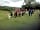 Claylands Caravan Park