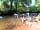 The Old Post Office Campsite: Freshwater swimming pool