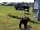 Ty-newydd Farm