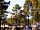 Parque Orbitur Sitava Milfontes: A great spot for a camping holiday