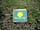 Blackstone Meadow Holiday Park: Named pitches