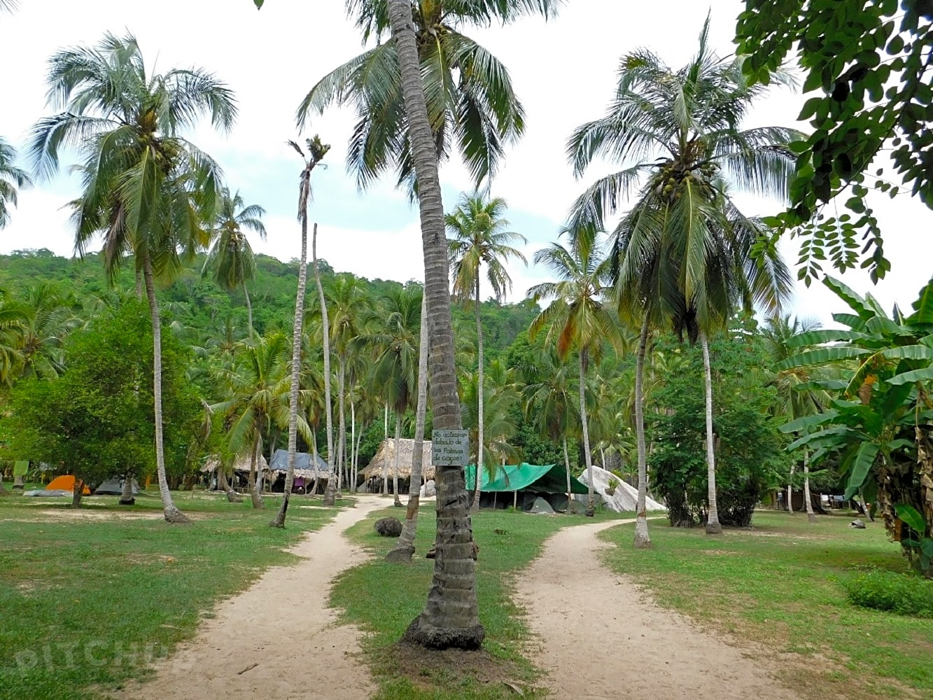 Camping Don Pedro Santa Marta Magdalena Pitchup