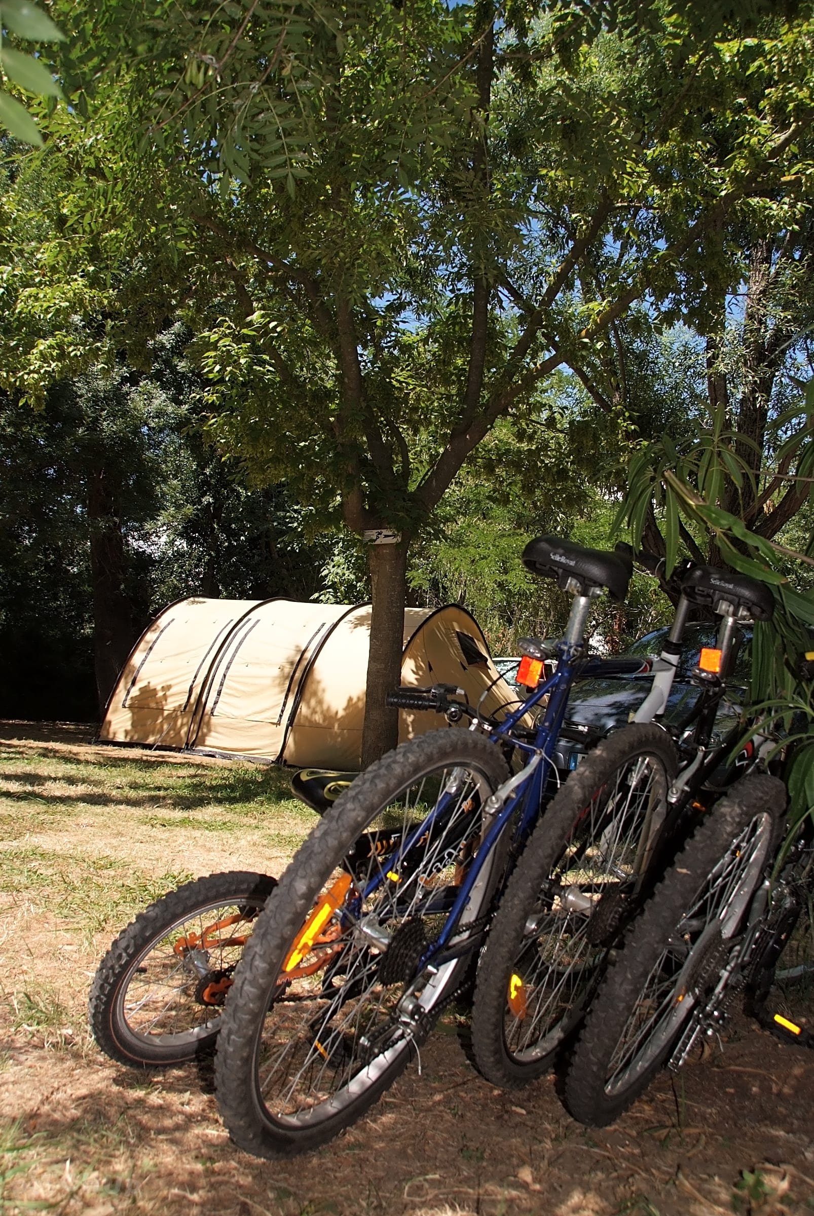 Giant rincon 6061 aluxx mountain bike top