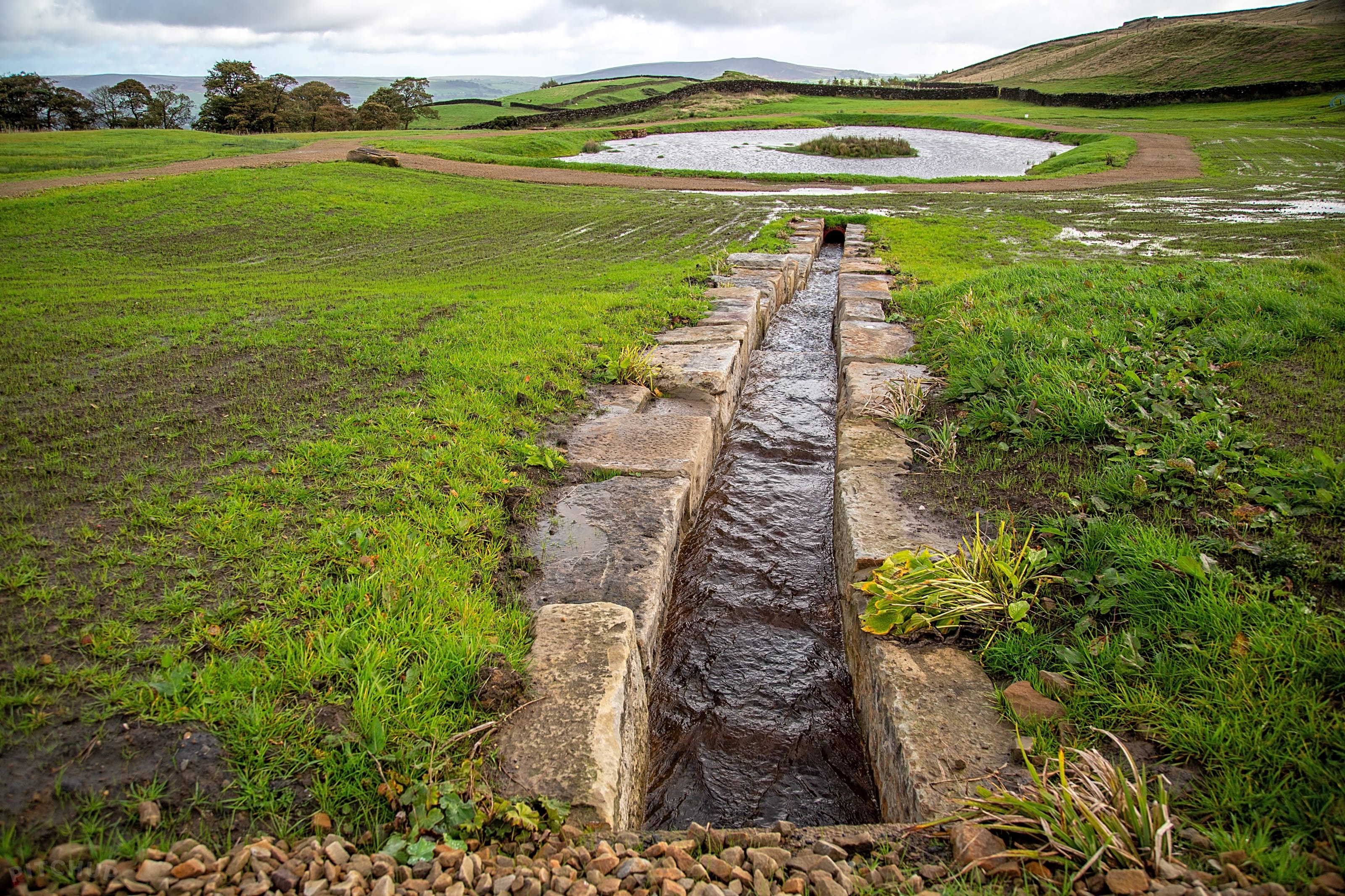 Draughton Heights Campsite, Skipton, North Yorkshire Updated 2025