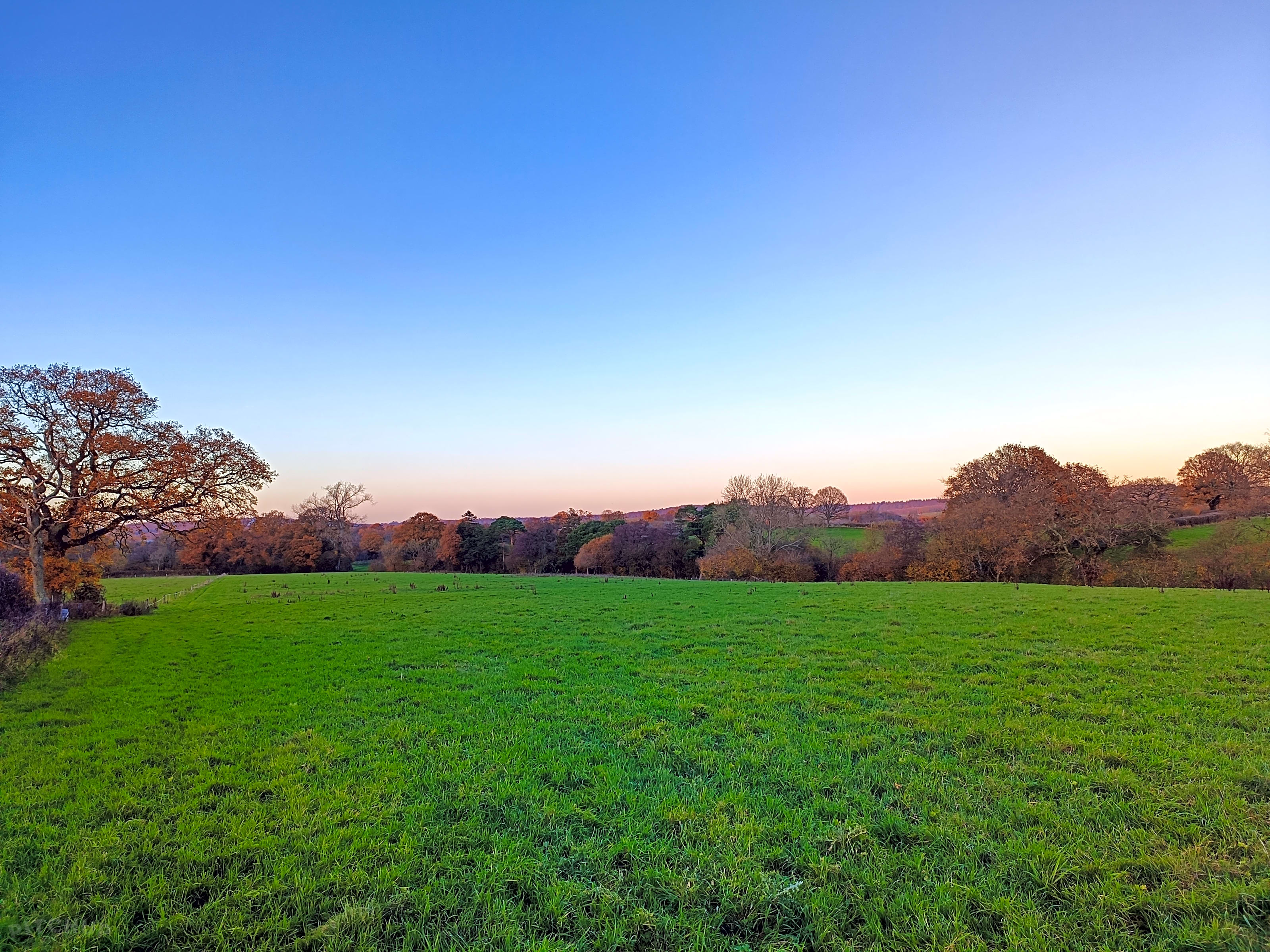 Lower Marsh Farm Campsite, Shaftesbury, Dorset Updated 2025 prices