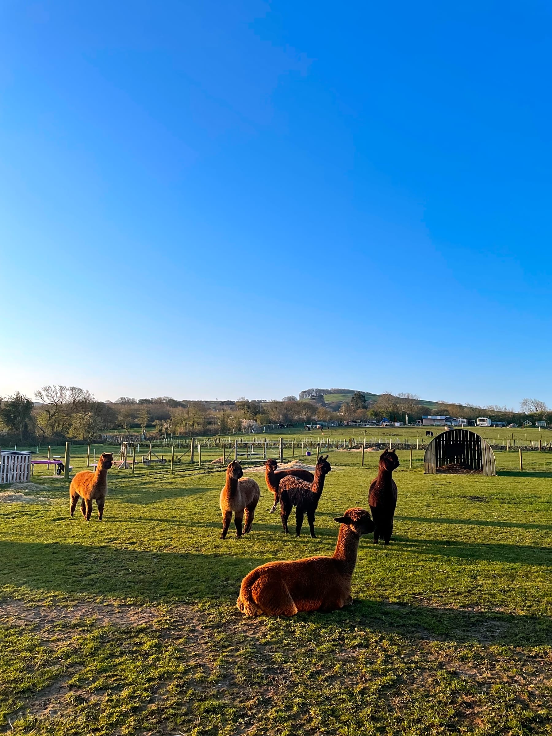 Flowerdew Farm, Dorchester, Dorset Updated 2025 prices