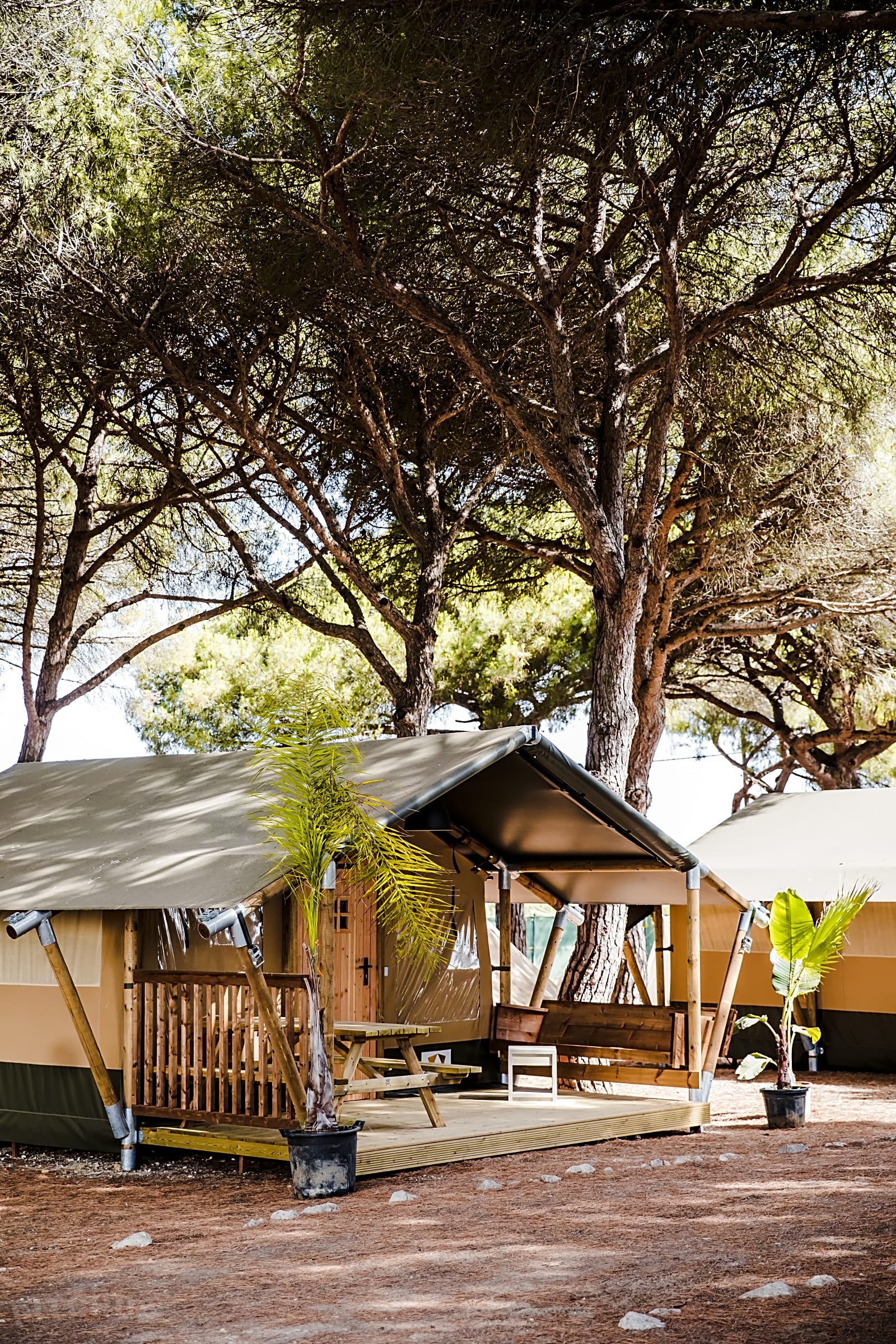 Camping Conil, Conil de la Frontera, Cadiz - Updated 2024 prices