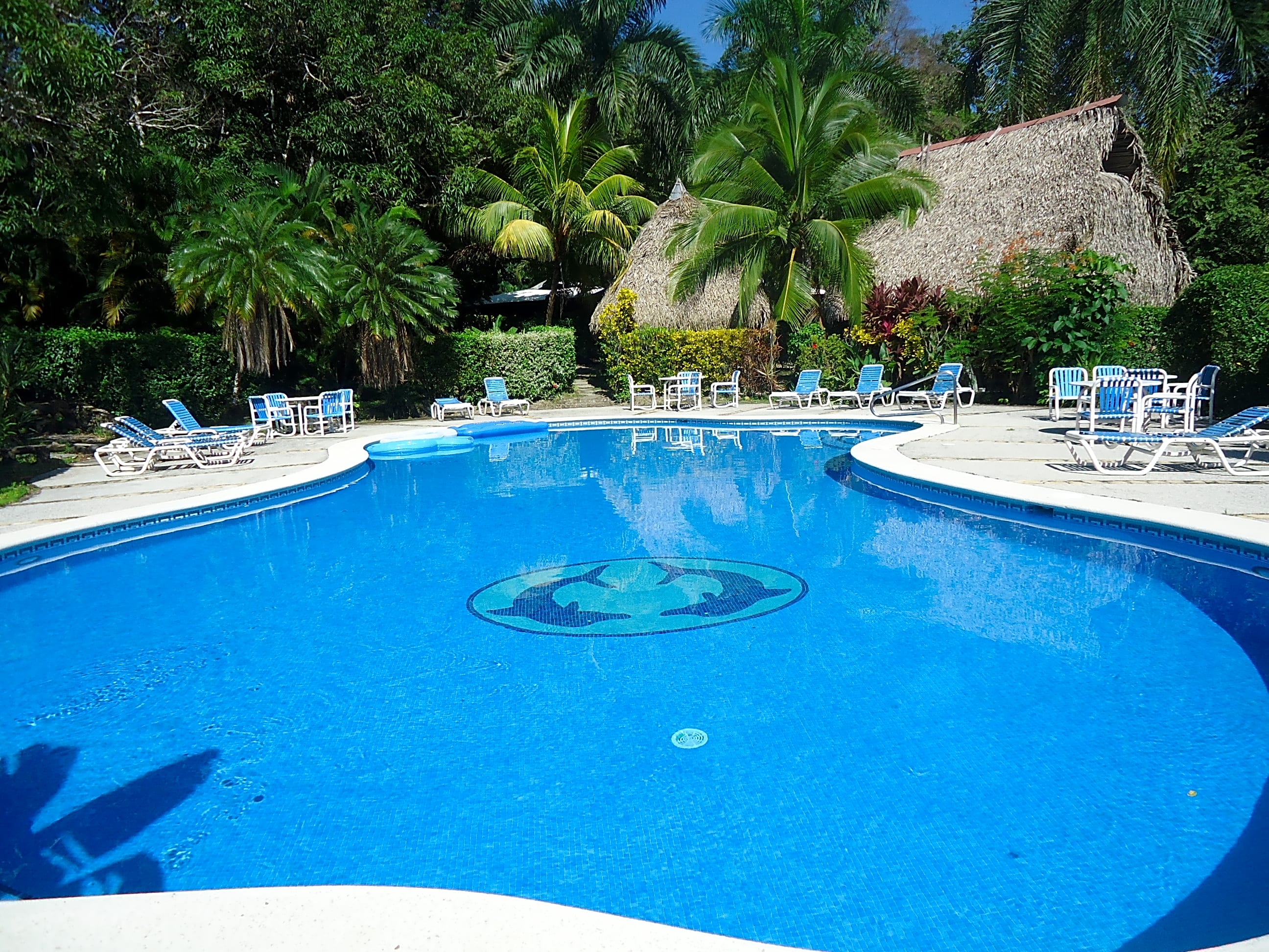 Mal pais sale surf camp