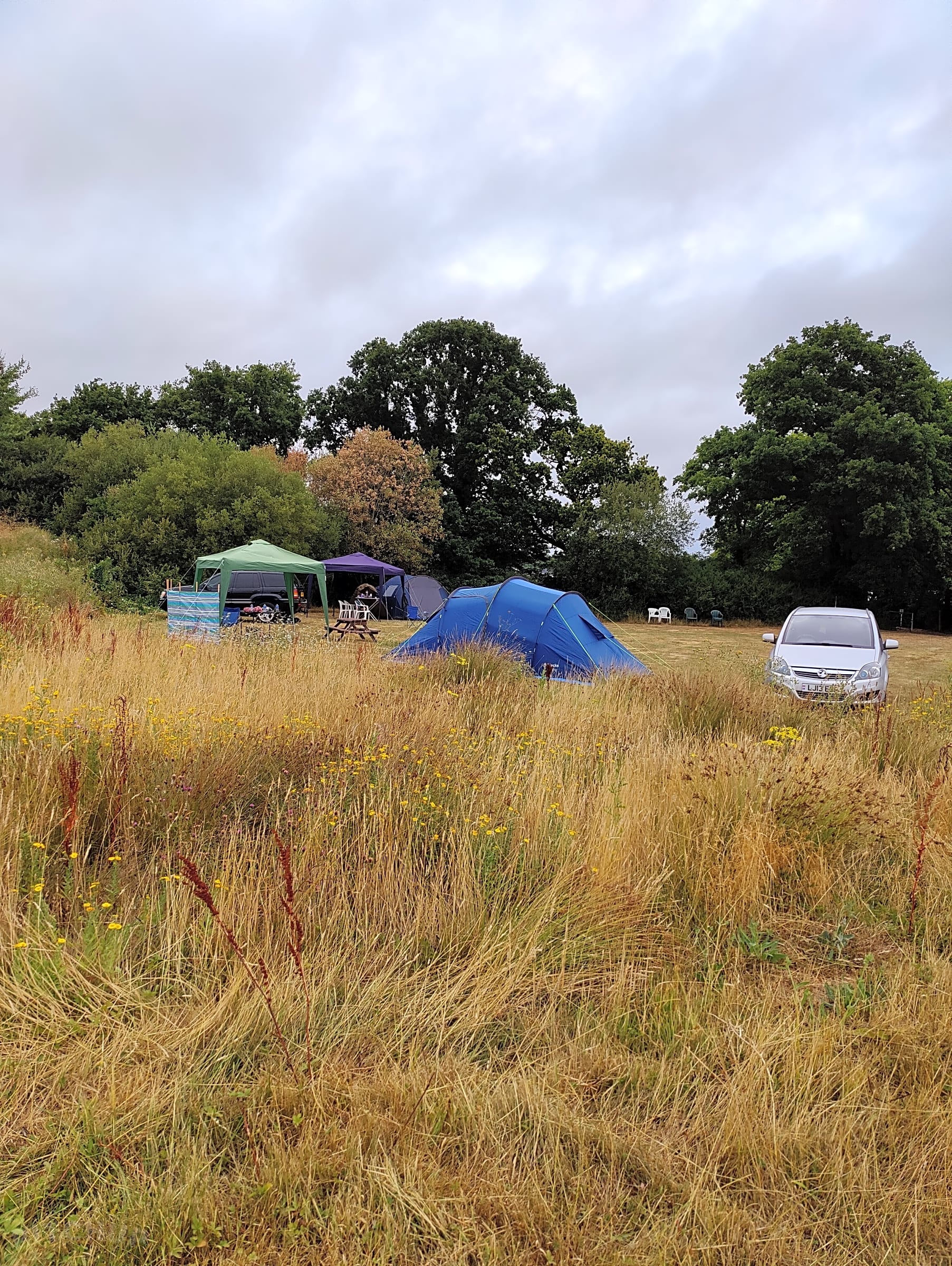 Woodlands Country Park, Biddenden, Kent Updated 2025 prices