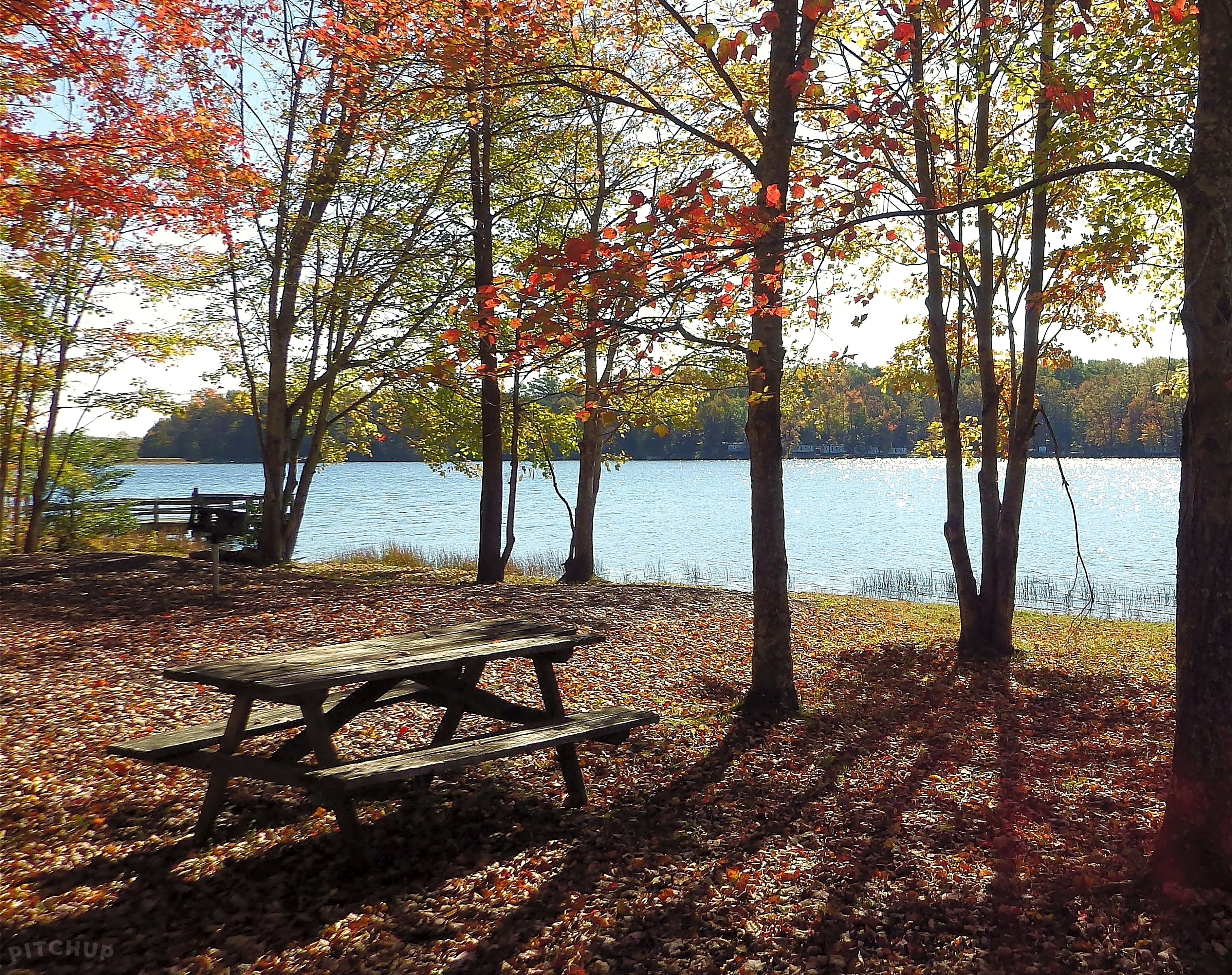 Spotsylvania