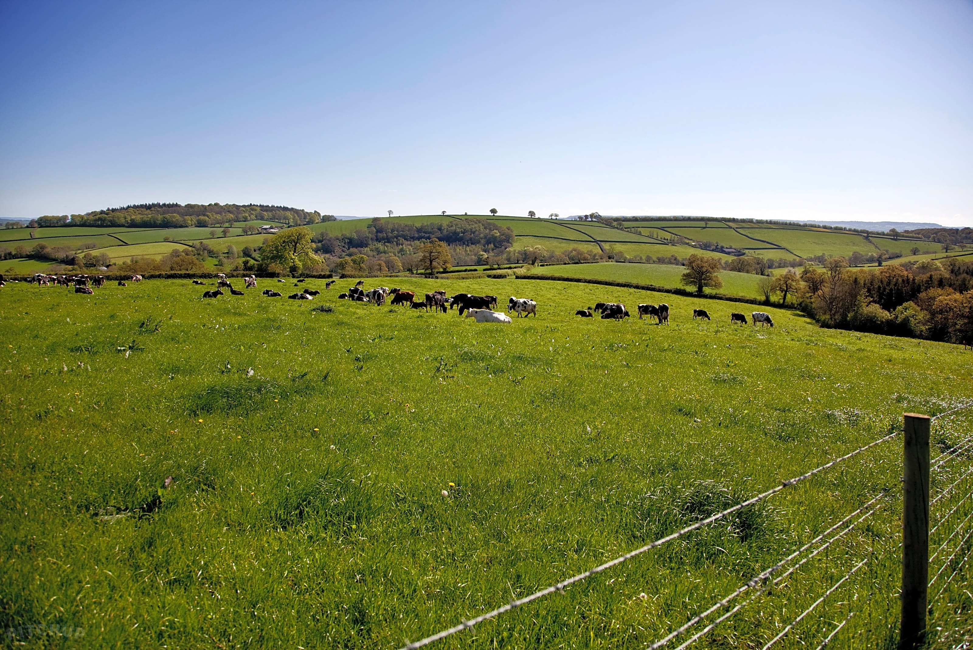 Billingsmoor Farm, Cullompton, Devon Updated 2025 prices