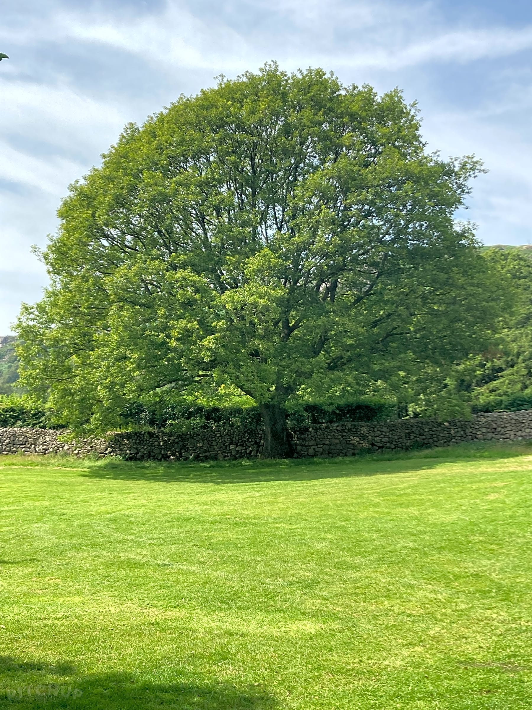 Hollin Head Campsite, Eskdale, Cumbria Updated 2025 prices