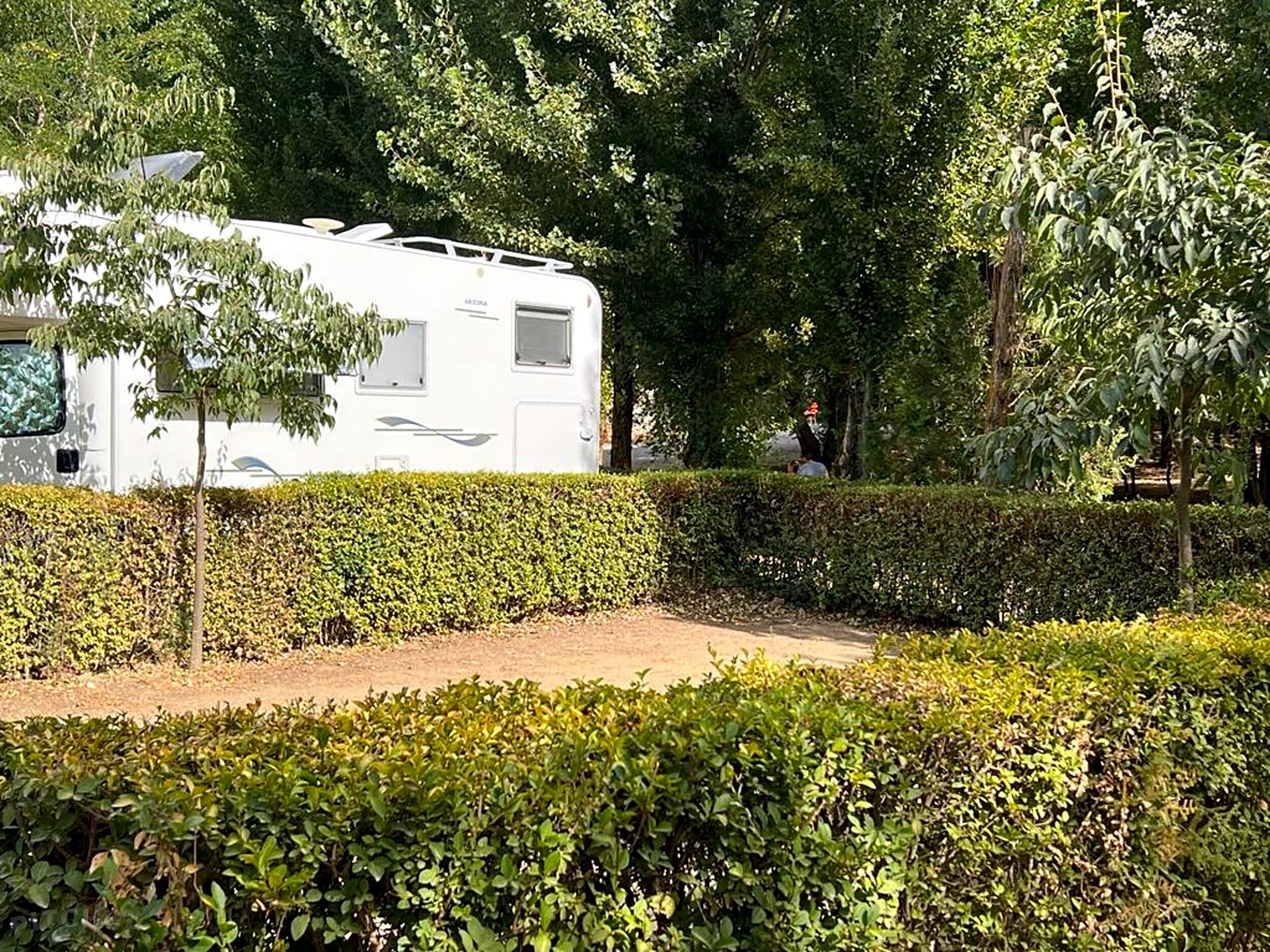 dirección Joseph Banks Provisional Camping Las Veredas, Valdepeñas de Jaén, Jaén - Pitchup®