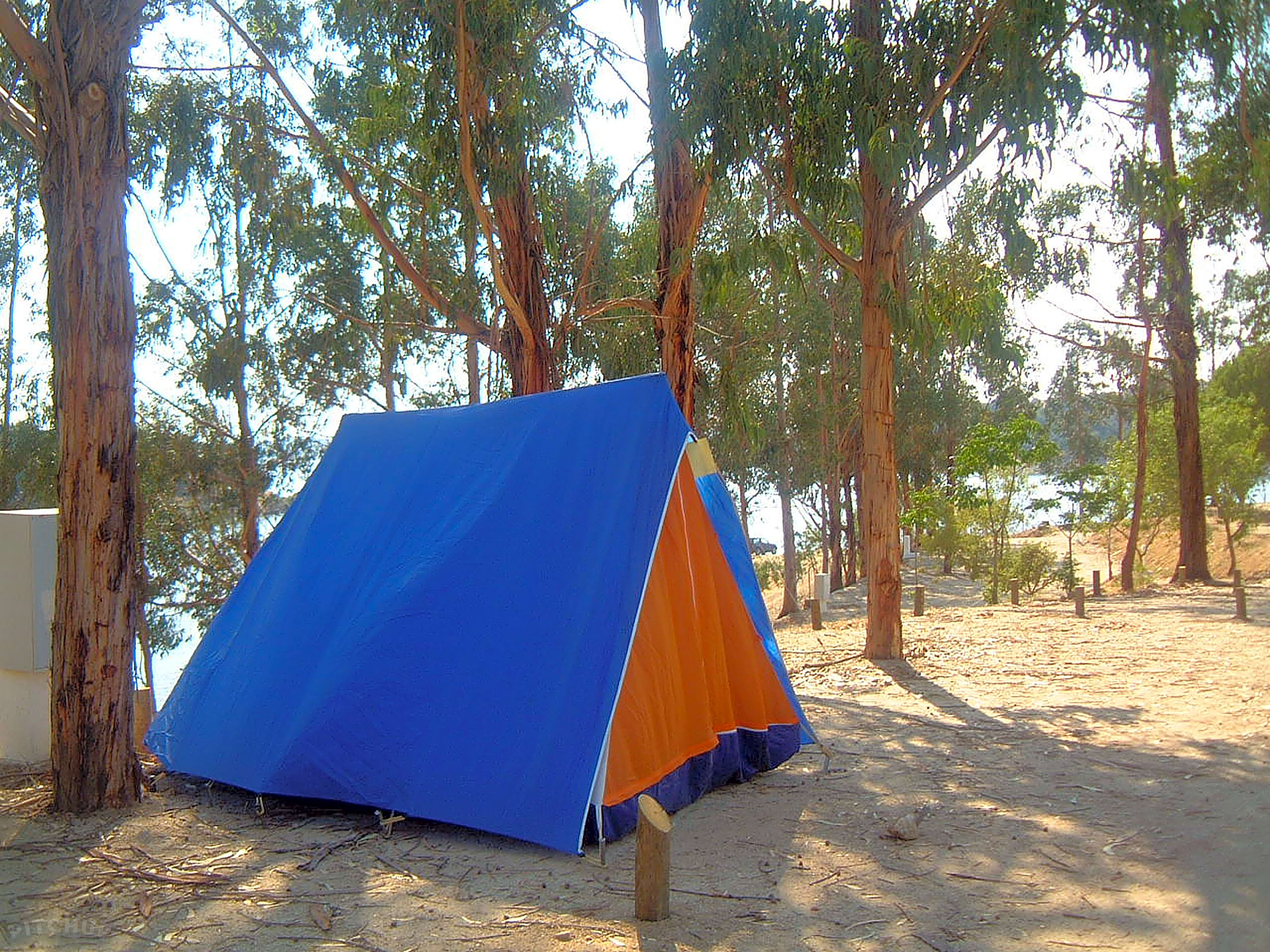 Albufeira do Maranh o Camping Park Avis Portalegre Pitchup