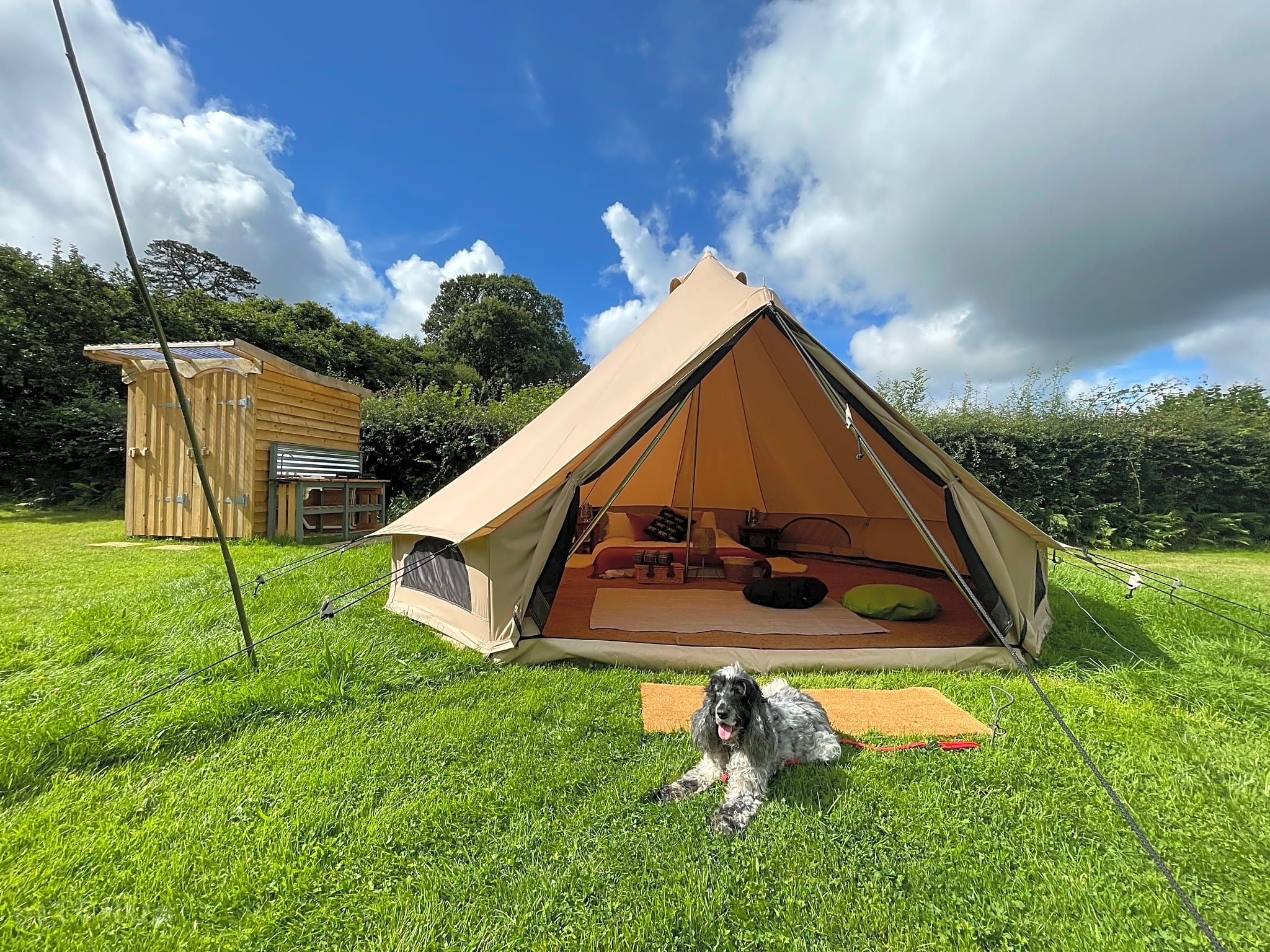 Tread Lightly Glamping, Burley, Hampshire