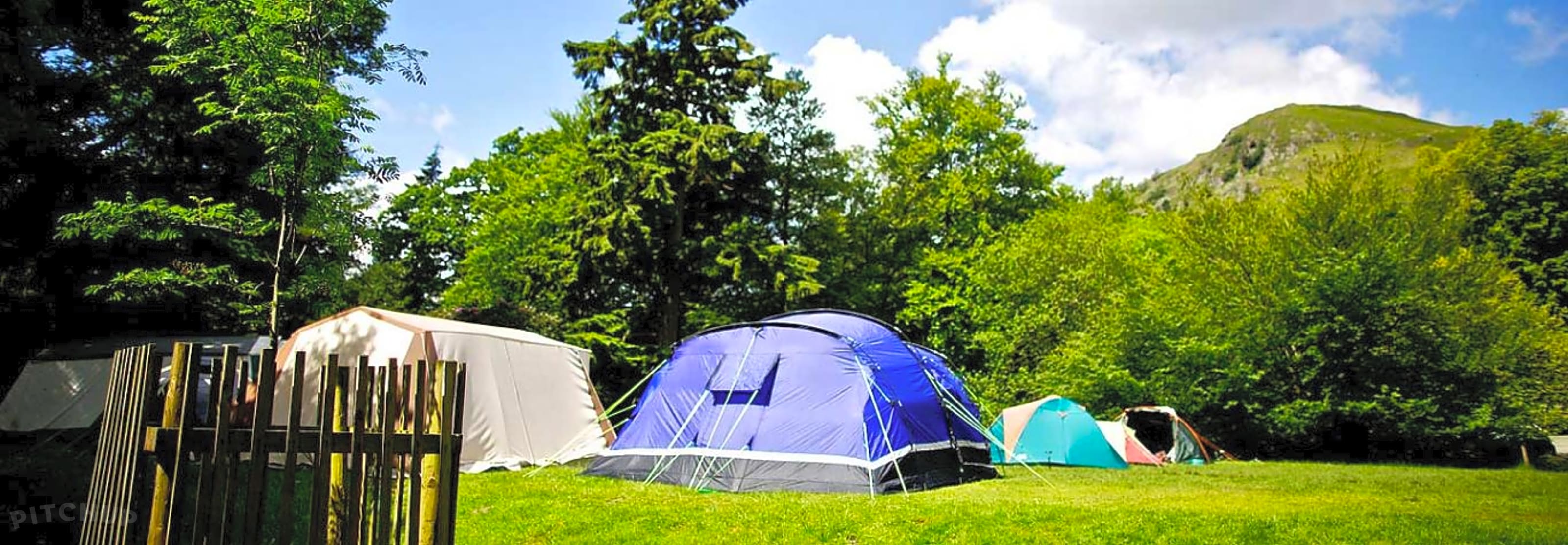 Rydal Hall Campsite, Ambleside Pitchup®