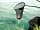 Stamford Way Fisheries and Camping: Coarse fishing at Stamford Way