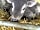 Mattiscombe Farm Camping: New-born calf