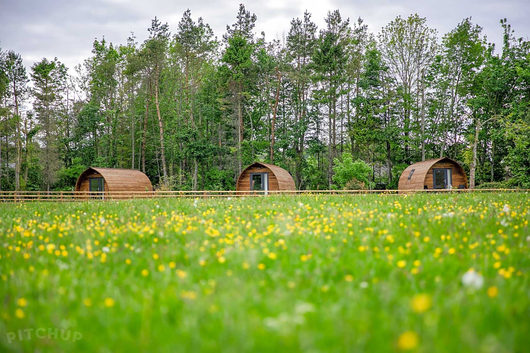 Campsites in Stanhope, Co. Durham 2024 from £20/nt