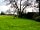 Cokes Farm: Walnut tree (photo added by manager on 30/01/2023)