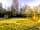 Moss Hagg Farm Campsite: Electricity hook-up camping field (photo added by manager on 09/04/2022)