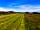 Strumble Camping: Freshly cut grass at the campsite (photo added by manager on 20/06/2022)