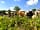 Wheeldon Farm: Friendly neighbours!