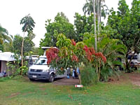 Plants all around for shade and privacy Plants all around for shade and privacy