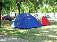 Emplacement pour tente ou pour caravane pliante sur herbe avec électricité optionnelle (4 personnes)