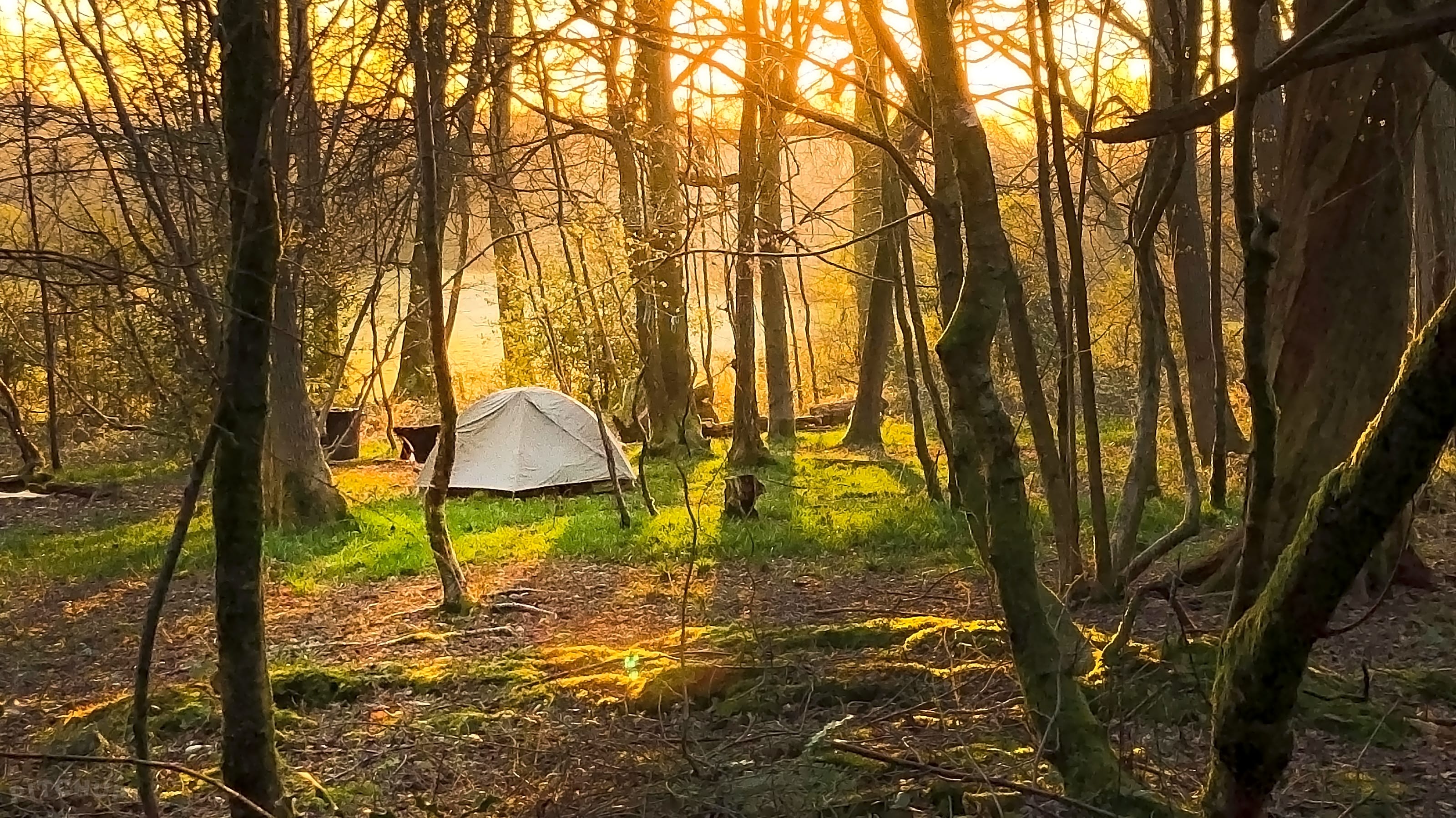 Evrgrn tent new arrivals
