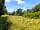 North Down Orchard: Nature reserve next to the campsite (photo added by manager on 06/07/2022)