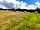 Giddy Farm: Grass pitches