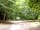 Forest Park Caravan Site: woodland walks