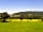 Porlock Vale Campsite: Level farmland meadow (photo added by manager)