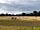 Riverside Caravan Park at The George: Corn field. (photo added by prattm1 on 15/08/2017)