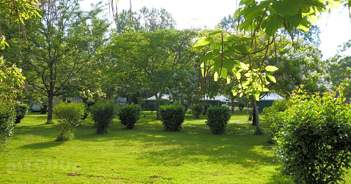 Camping le Mouliat, Moncrabeau | Pitchup.com