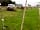 Daisy Cottage Campsite and Retreat: Spacious grass pitches
